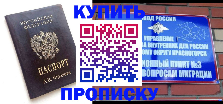 прописка поиск в Светлограде